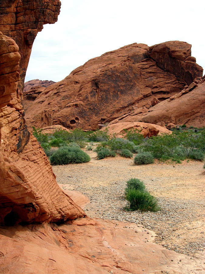 Valley of Fire 1 Photograph Photograph by Kimberly Walker