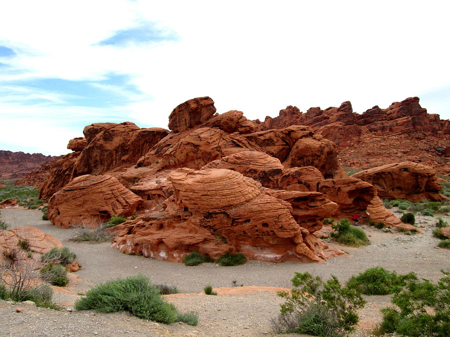 Valley of Fire 12 Photograph Photograph by Kimberly Walker