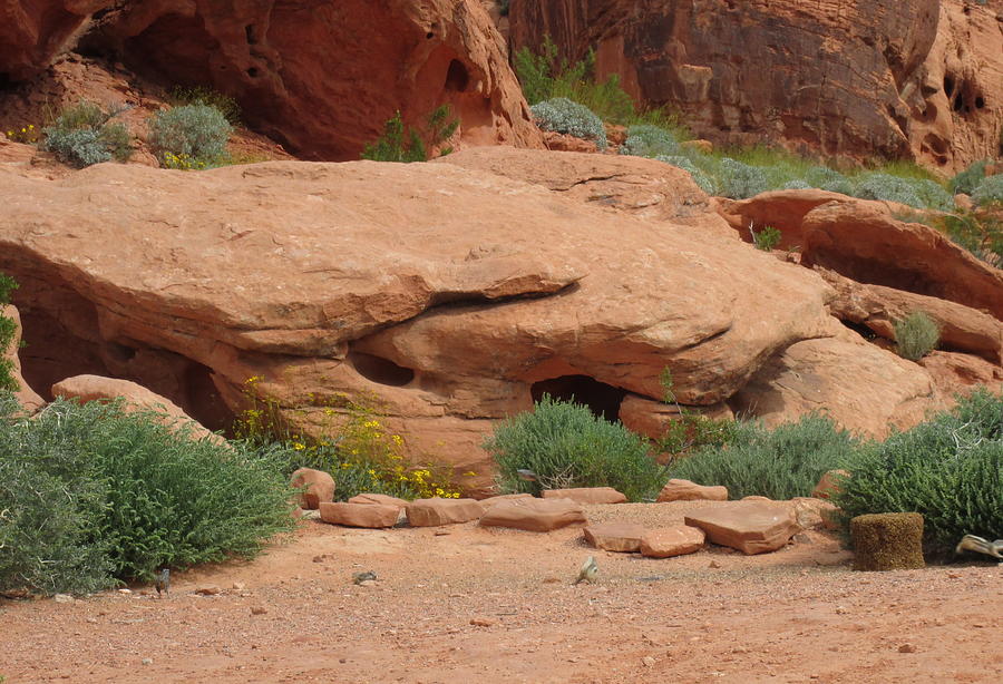 Valley of Fire 6 Photograph Photograph by Kimberly Walker
