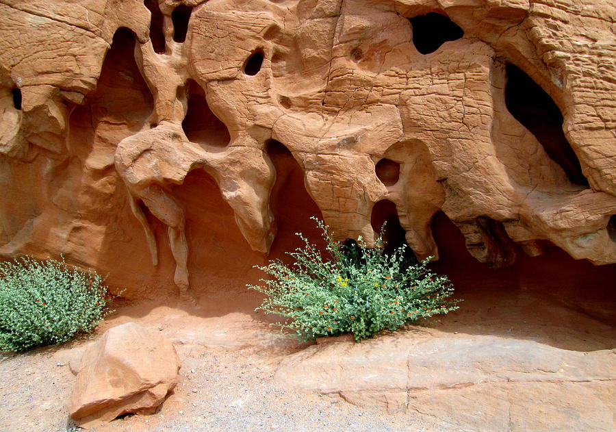 Valley of Fire 7 Photograph Photograph by Kimberly Walker