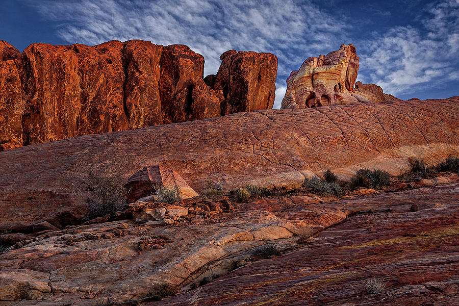 Valley Of Fire Elephant Rock Photograph by Susan Candelario