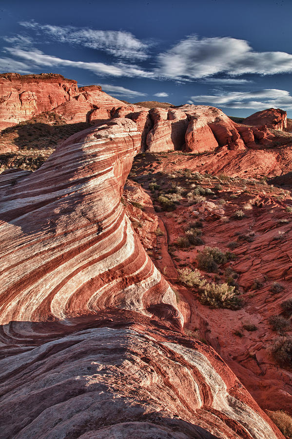 Valley Of Fire Photograph by Jan Maguire Photography