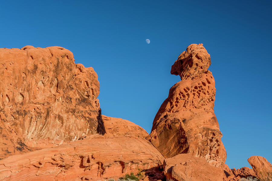 Moon Over Valley Of Fire Photograph