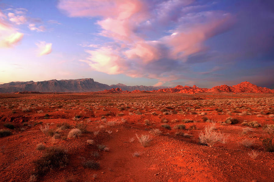 Valley Of Fire Sunrise Photograph by David Toussaint