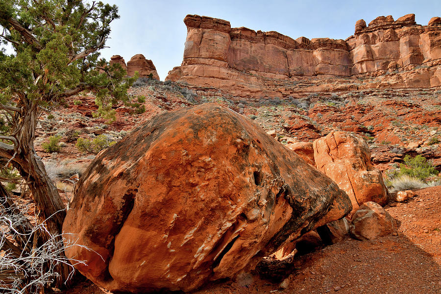 Valley of the Gods Boulders and Buttes Photograph by Ray Mathis