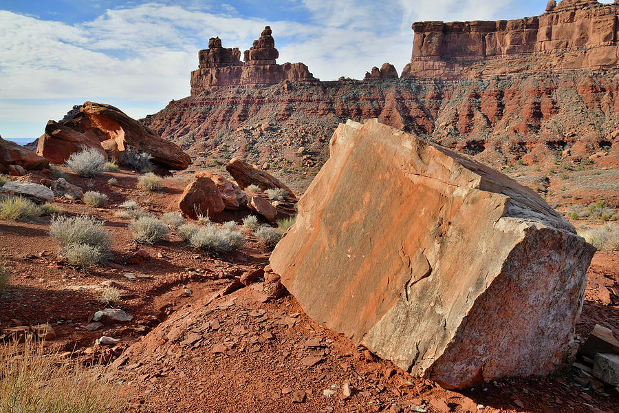 Valley of the Gods in Southern Utah Photograph by Ray Mathis