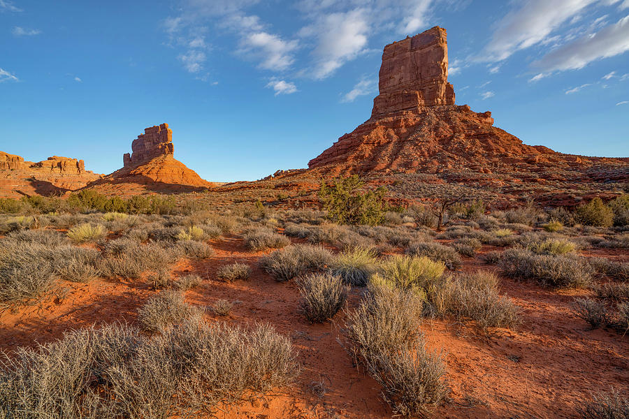 Valley Of The Gods Photograph by Tim Fitzharris