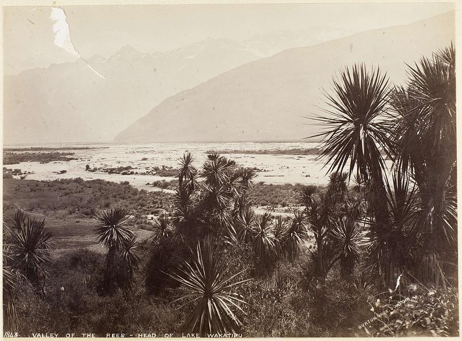 Valley of the Rees   Head of Lake Wakatipu  1870 1880s Otago  by Burton Brothers studio Painting by Celestial Images