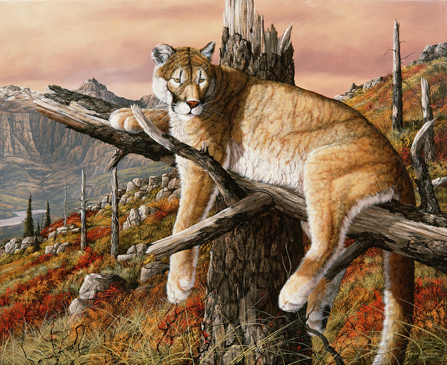 Mountain Lion Painting - Valley View by Trevor V. Swanson