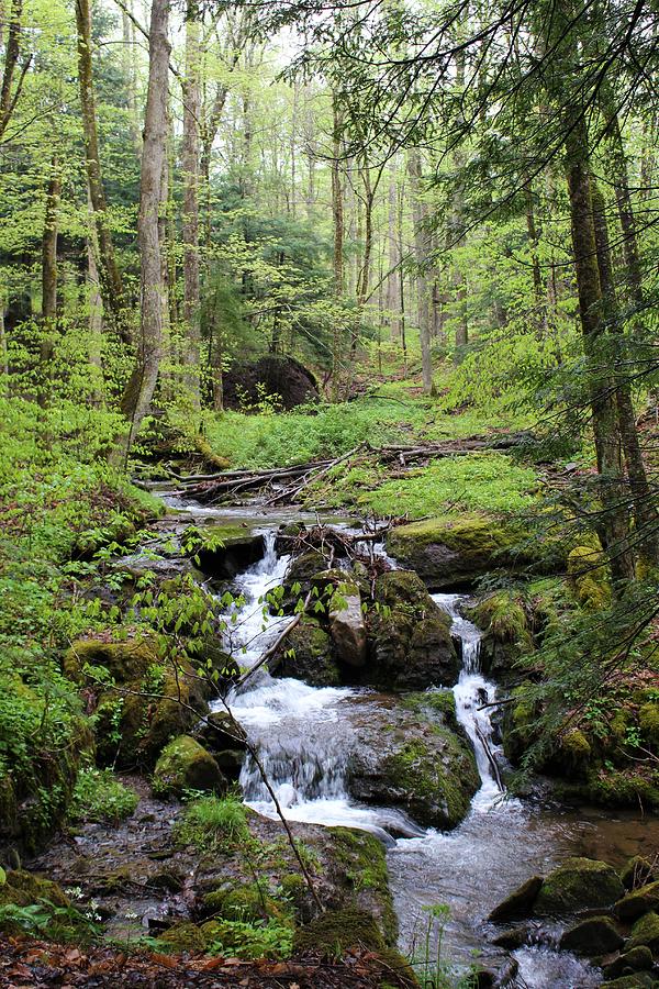 Valley Waterfall Photograph By Alexis Catlett 