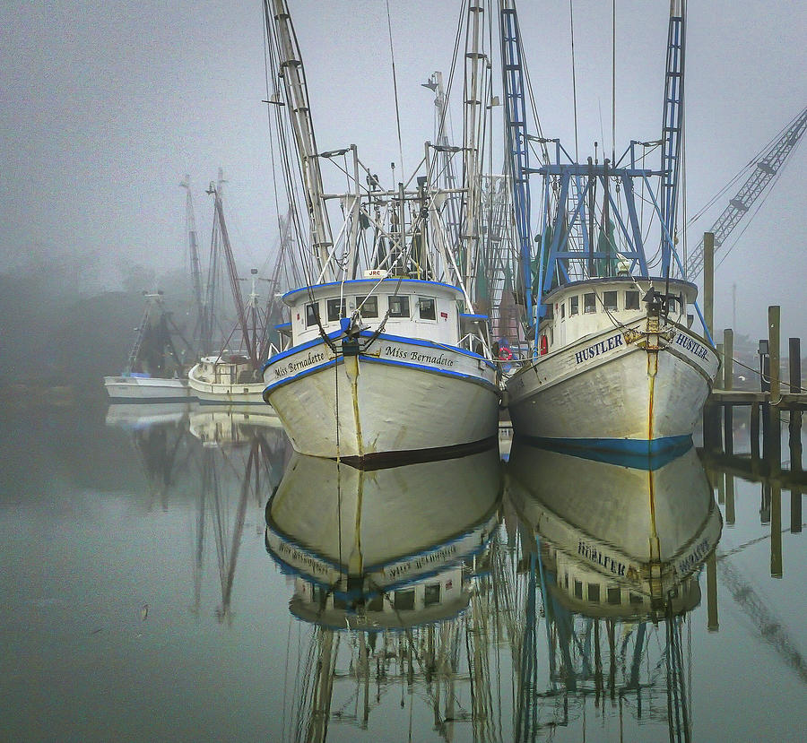 Valona fog Photograph by Kenny Nobles Valona fog Photograph by Kenny Nobles