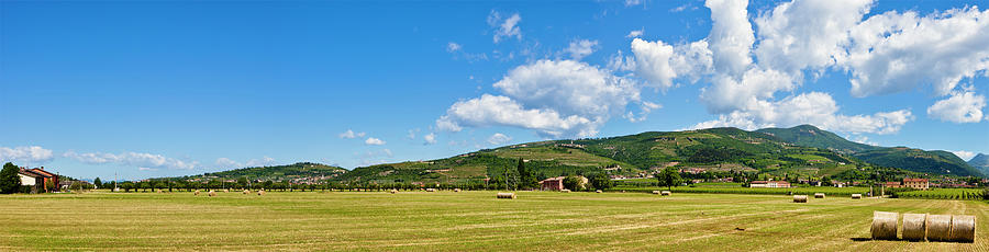 Valpolcella Fields, Italy Photograph by Argalis