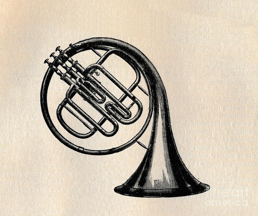Valve Horn Drawing by Print Collector