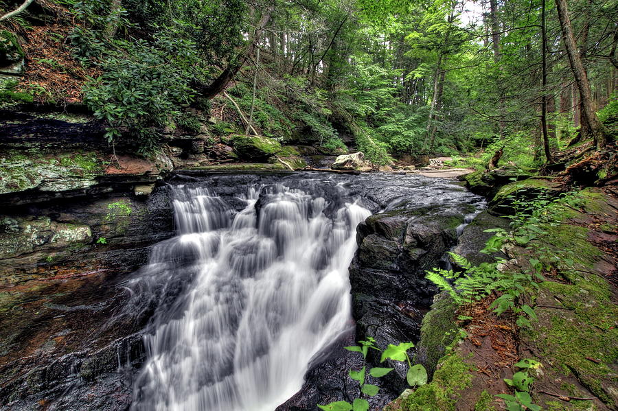 Van Campens Falls Photograph by Dawn Benko