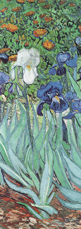 Vincent Van Gogh Mixed Media - Van Gogh-iris by Portfolio Arts Group