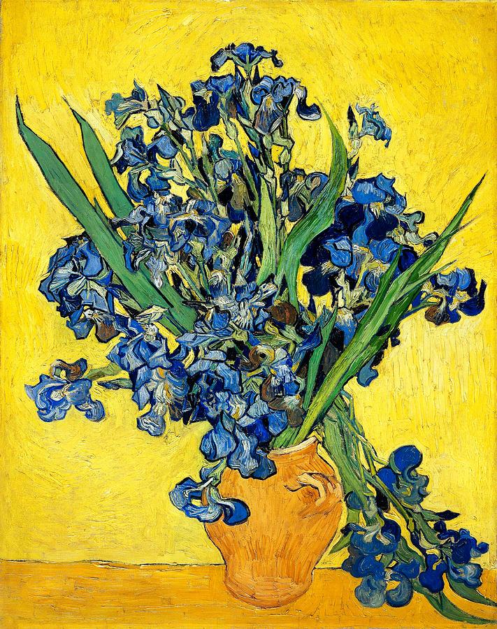 Vincent Van Gogh Photograph - Van Gogh. Irises By Vincent Van Gogh by IanDagnall Computing