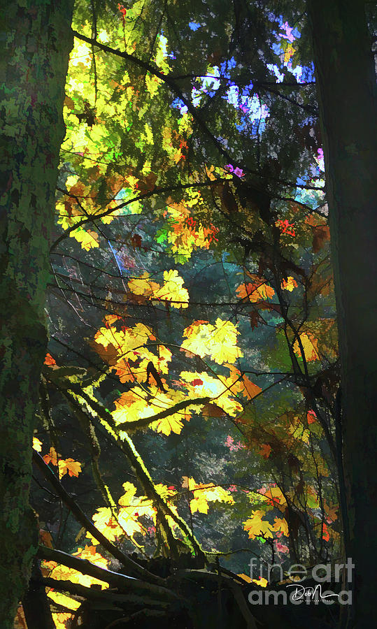 Vancouver Autumn Digital Art by Deb Nakano