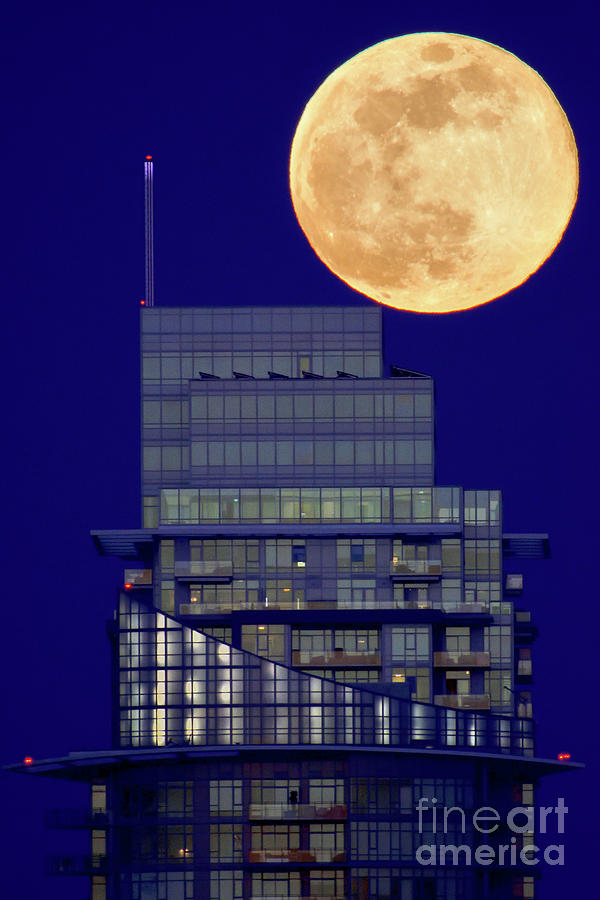 Vancouver Full Moon Fever Photograph by Terry Elniski