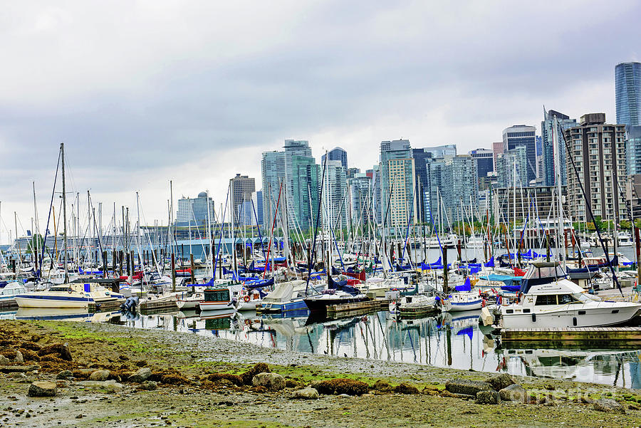 Vancouver Skyline At Stanley Park Photograph