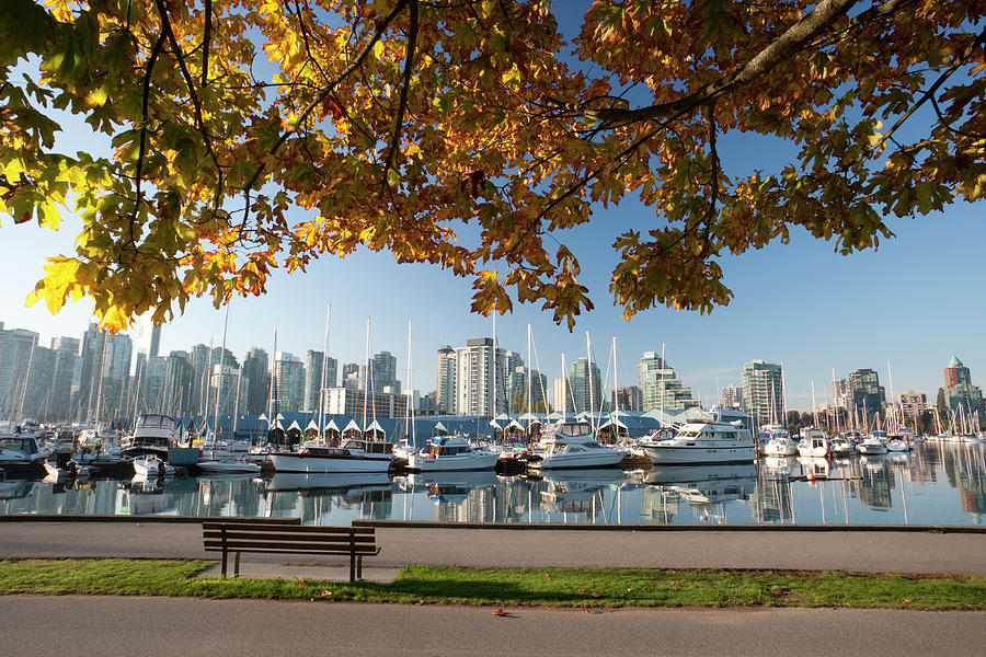 Vancouver Stanley Park Photograph by Mysticenergy