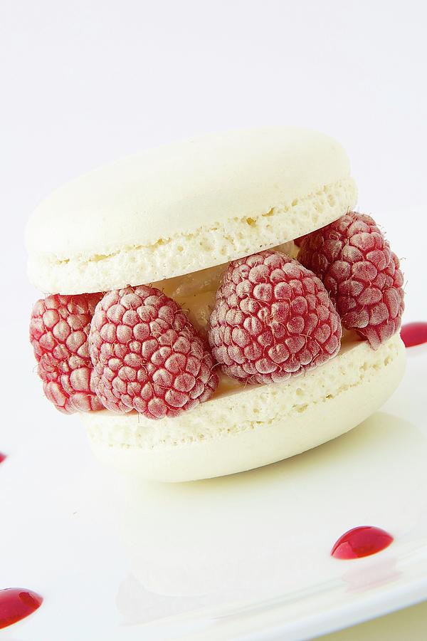 Vanilla And Raspberry Macaron Photograph by Karmann