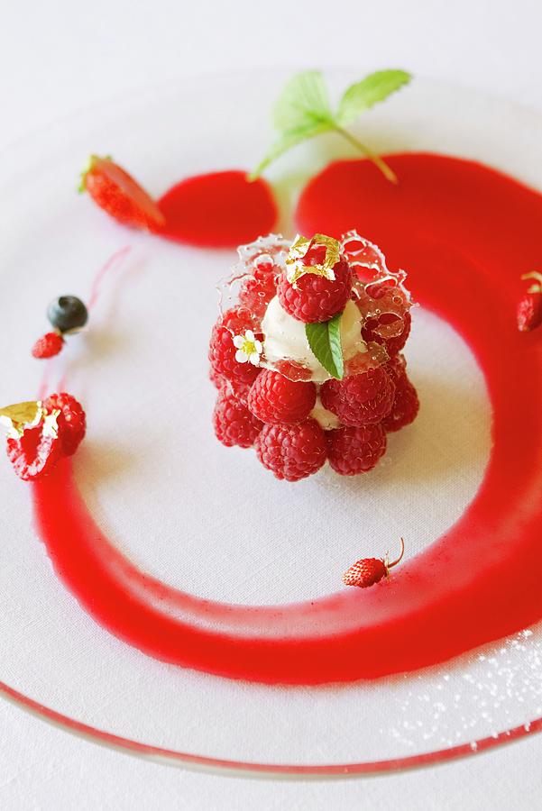 Vanilla Ice Cream With Raspberries And Raspberry Sauce Photograph by ...