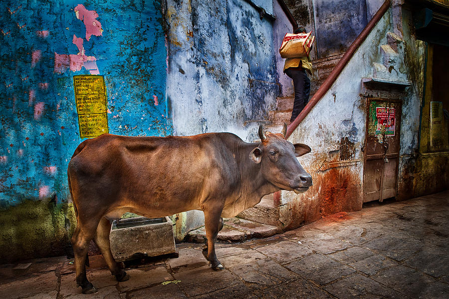 Varanasi Alley, 2019 Photograph by Giovanni Cavalli