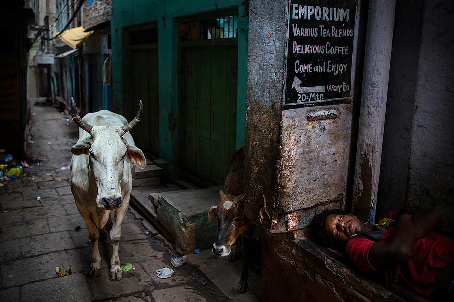 Documentary Photograph - Varanasi Dawn by Michael Steverson