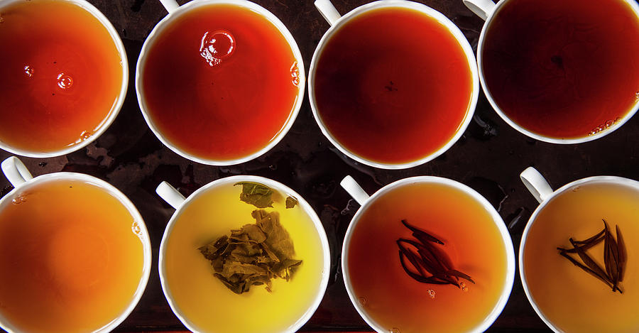 Variations Of Tea Strength At Tea Tasting In Sri Lanka Photograph by ...