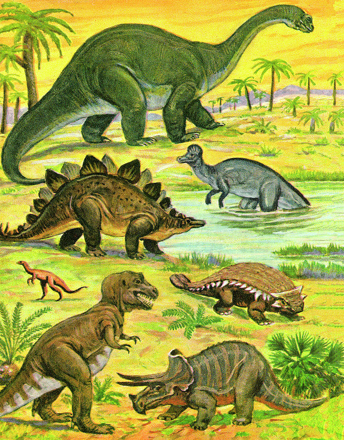 Prehistoric Drawing - Variety of Dinosaurs by CSA Images