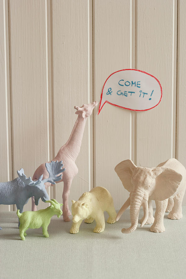 Various Animal Figures With A Speech Bubble Photograph by Colin Cooke