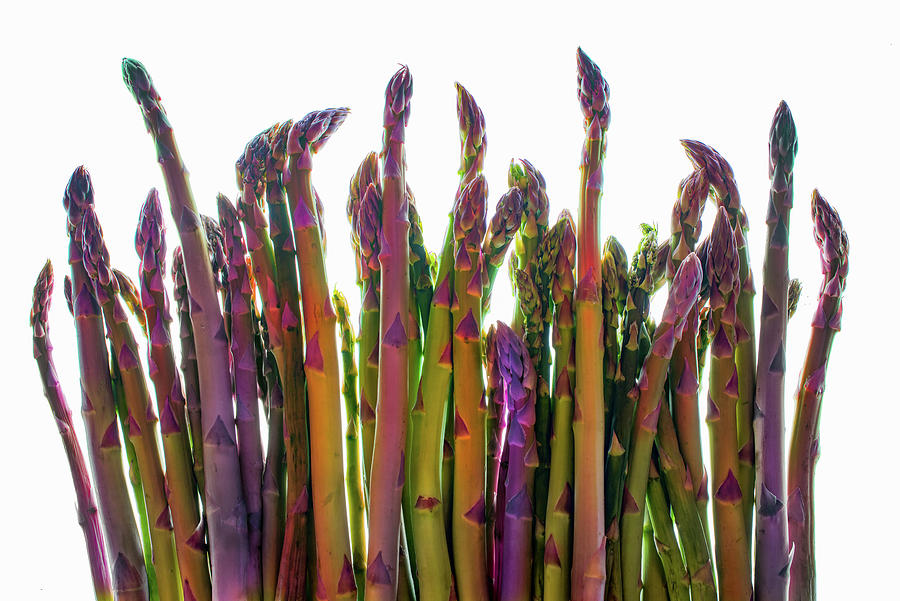 Various Asparagus Spears Against A White Background Photograph by Judy Doherty