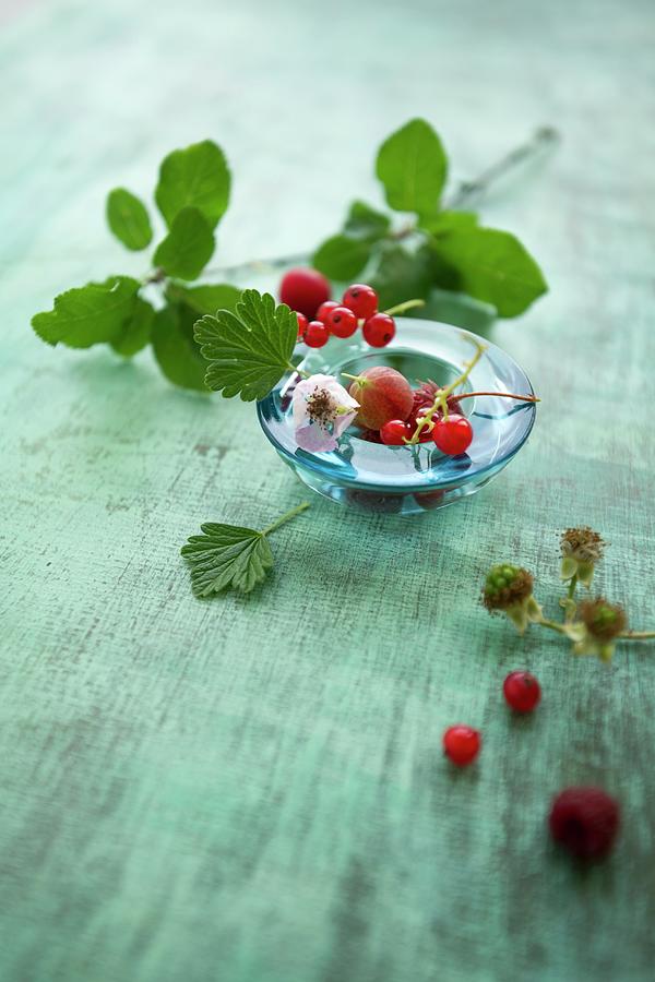 Various Berries With Leaves In A Glass Bowl Photograph by Mandy Reschke