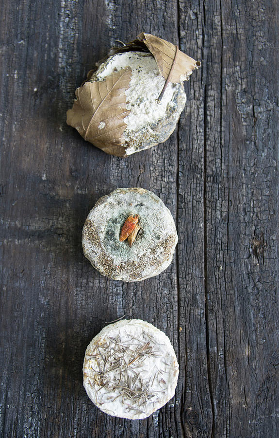 Various Blue Cheeses Photograph by Martina Schindler