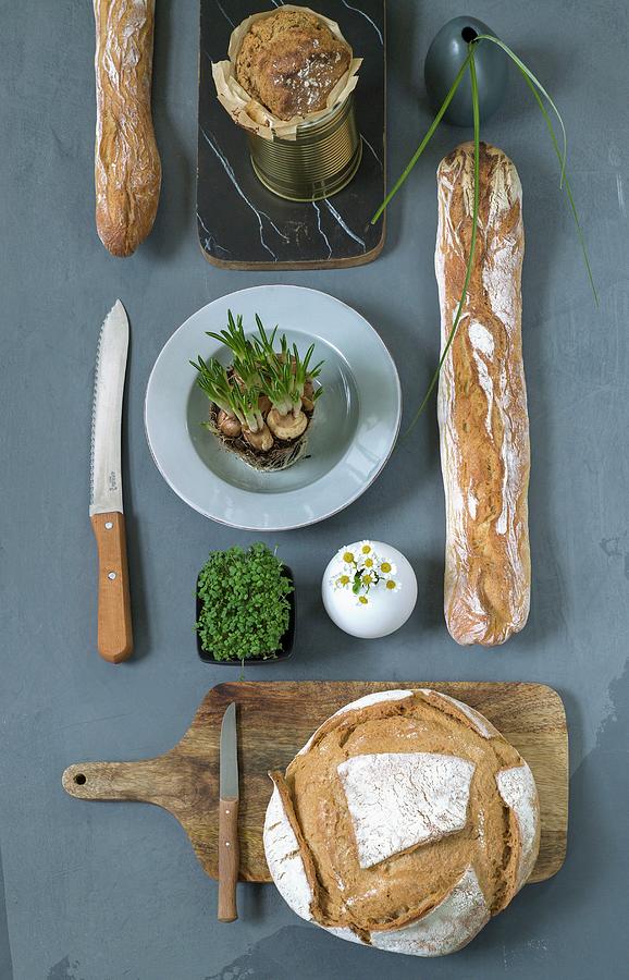 Various Breads And Fresh Herbs Photograph by Bchner & Schmidt