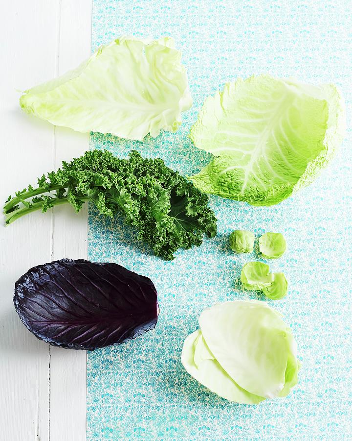 Various Cabbage Leaves On A Pastel Blue Surface Photograph by Hannah Kompanik