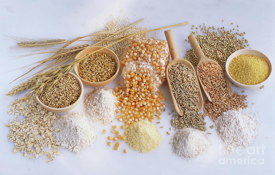 Cereal Photograph - Various Cereals And Flours by Maximilian Stock Ltd/science Photo Library