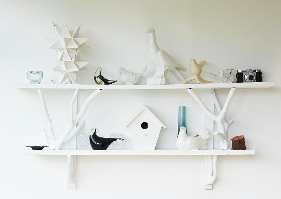 Various China Birds On White Wall-mounted Shelves On White Wall Photograph by Andrew Boyd