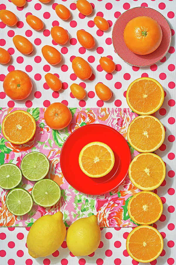 Various Citrus Fruit - Lime, Lemon, Orange, Mandarine And Kumquats Photograph by Malgorzata Stepien