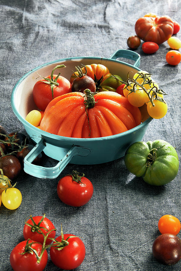 Various Colourful Tomatoes With An Enamel Colander On A Tea Towel Photograph by Jennifer Braun