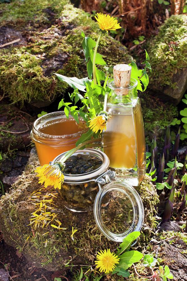Various Dandelion Products; Jelly, Liqueur, Pickled Buds And Freshly Picked Dandelions On Stone Outdoors Photograph by Sabine Lscher