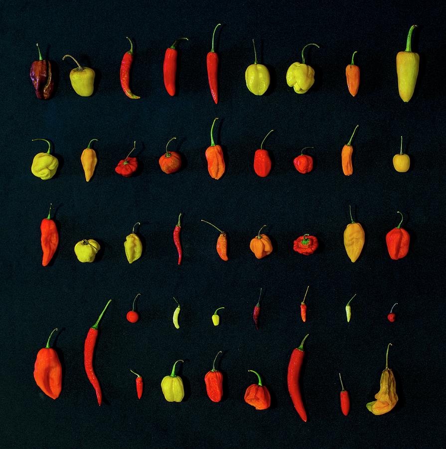 Various Different Chilli Peppers On A Black Surface Photograph by Alfonso Calero
