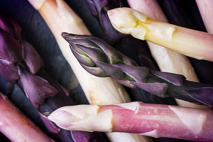 Various Different Coloured Asparagus Tips Photograph by Russel Brown