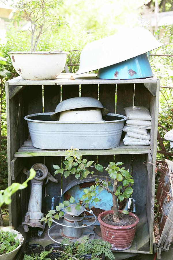 Various Enamel Bowls, Zinc Tub And Bonsai Tree On Vintage Wooden Shelves In Garden Photograph by Great Stock!