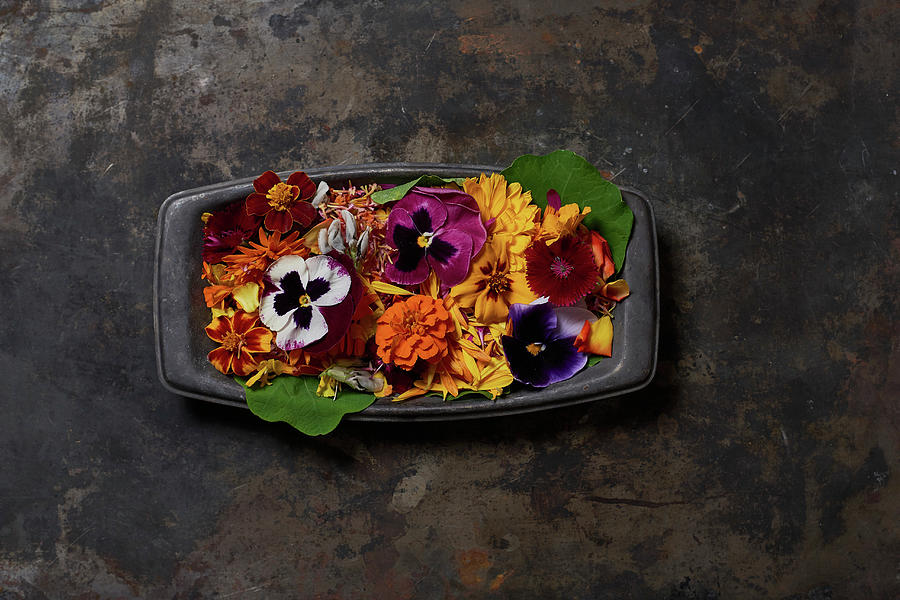 Various Flowers In Dark Casserole Dish Photograph by Yehia Asem El Alaily