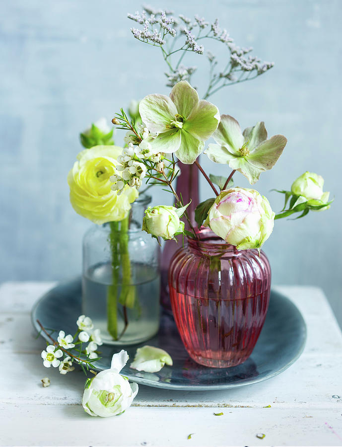 Various Flowers In Vases ranunculus, Hellebore Photograph by Ira Leoni