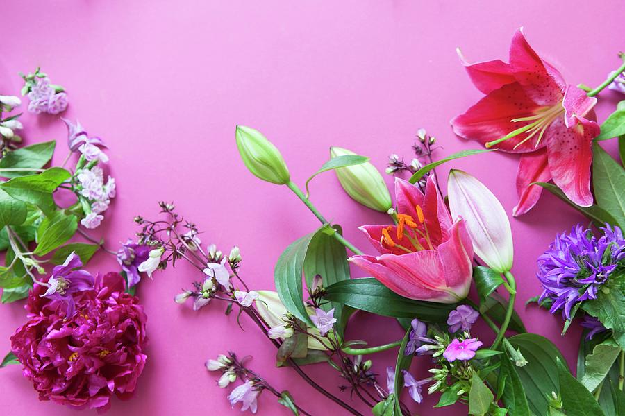 Various Flowers - Lilies, Clustered Bellflower, Peonies, Phlox - On Pink Surface Photograph by Anneliese Kompatscher
