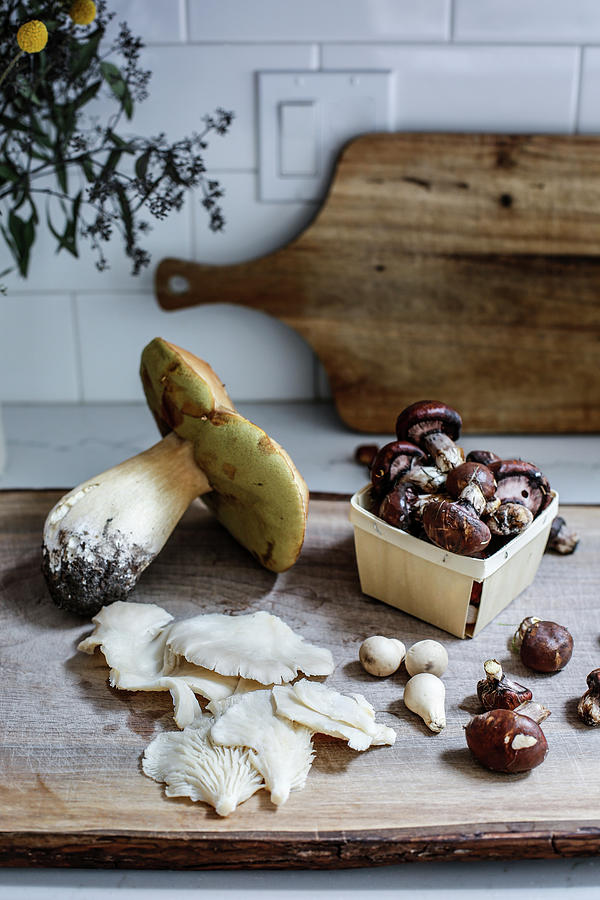 Various Fresh, Edible Mushrooms On A Wooden Board Photograph by Rika Manabe Photography