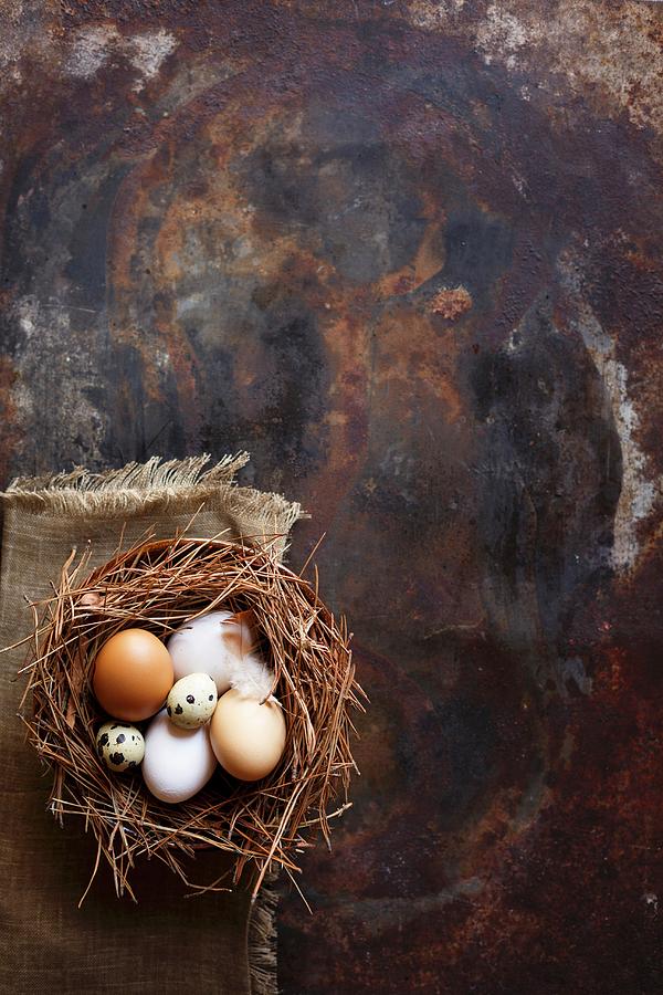 Various Fresh Eggs In Nest Photograph by Great Stock!