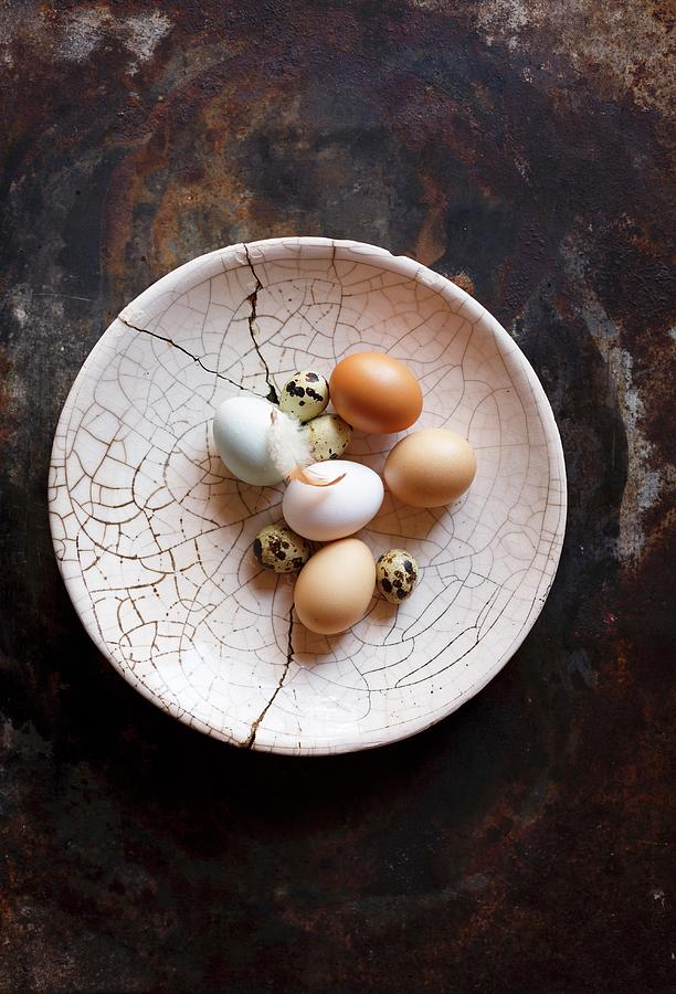 Various Fresh Eggs On Cracked Plate Photograph by Great Stock!